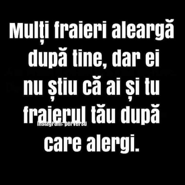  - Poze 3