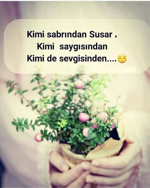  - Poze 3