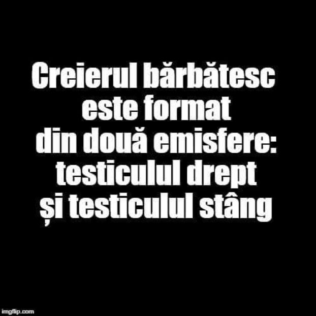  - Poze 3
