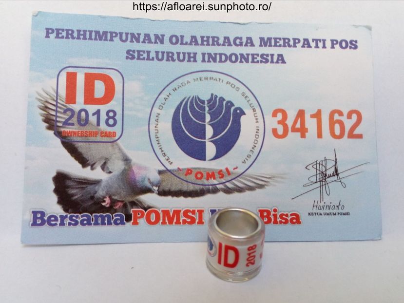ID 2018 - INDONEZIA