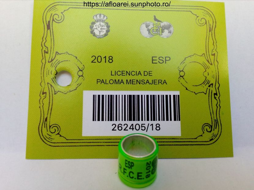 ESP RFCE 2018 - SPANIA-ESP