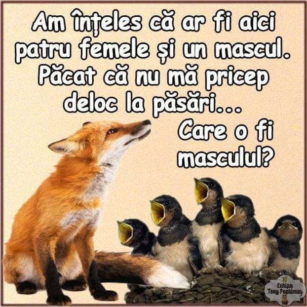  - Poze 3