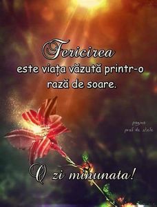  - Poze 3