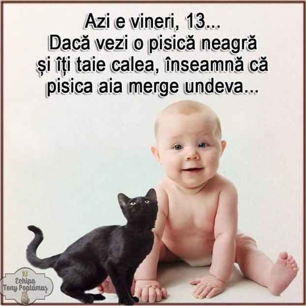  - Poze 3