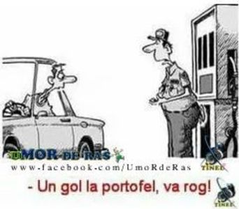  - Poze 3