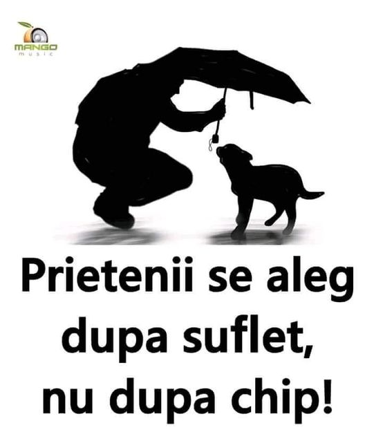  - Poze 3