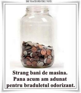  - Poze 3