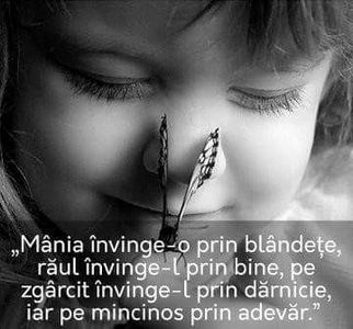  - Poze 3