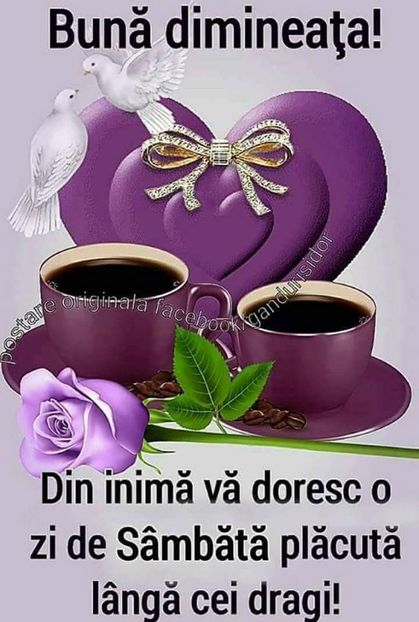  - Poze 3