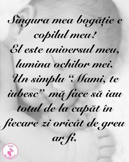  - Poze 3
