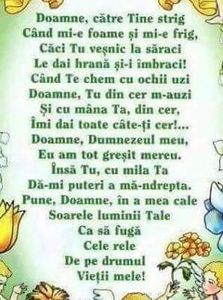  - Poze 3