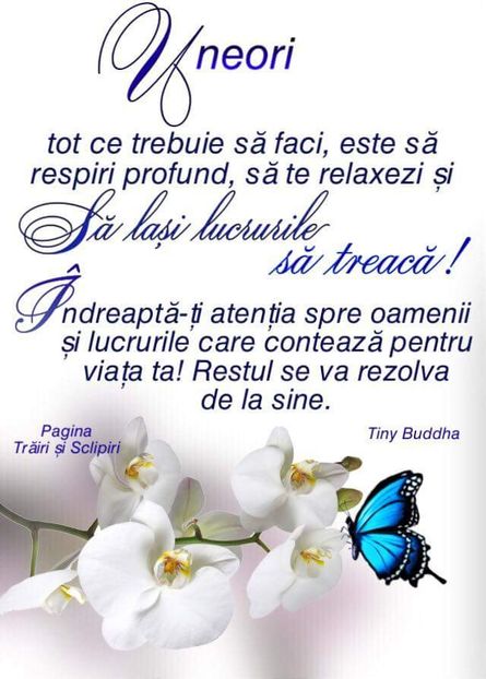 - Poze 3