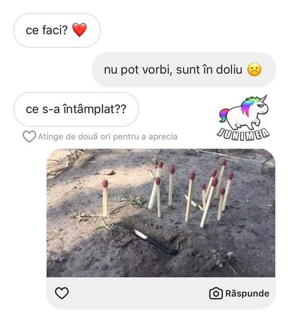  - Poze 3