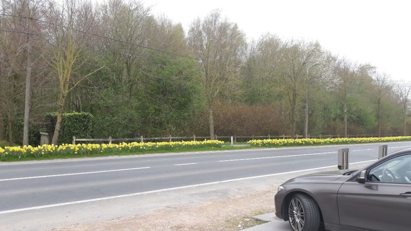 Pe strada mea - BELGIA   noua mea casa