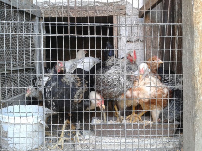  - 09_Gainet_20_21_septembrie_2017