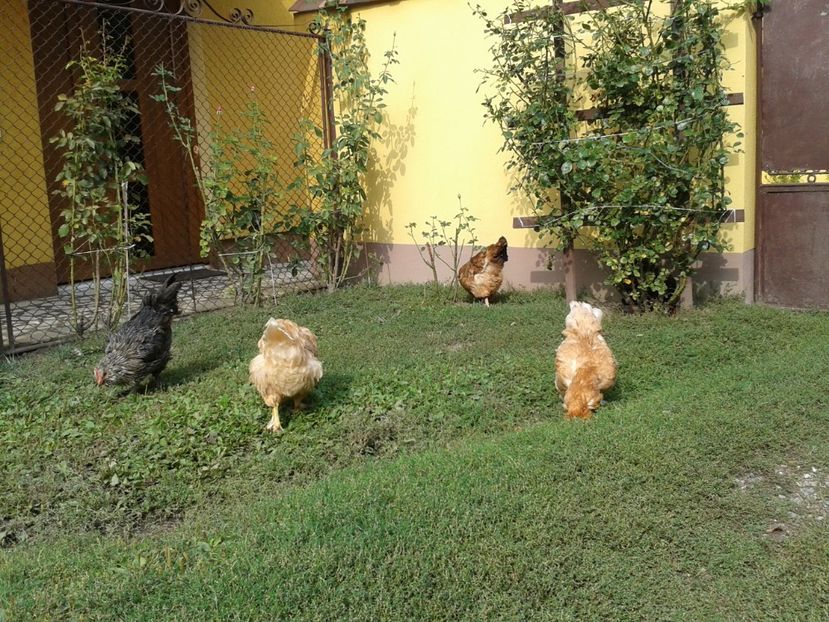  - 09_Gainet_20_21_septembrie_2017