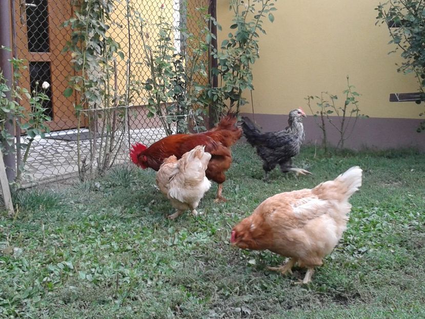  - 09_Gainet_20_21_septembrie_2017