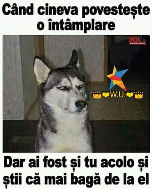  - Poze 3