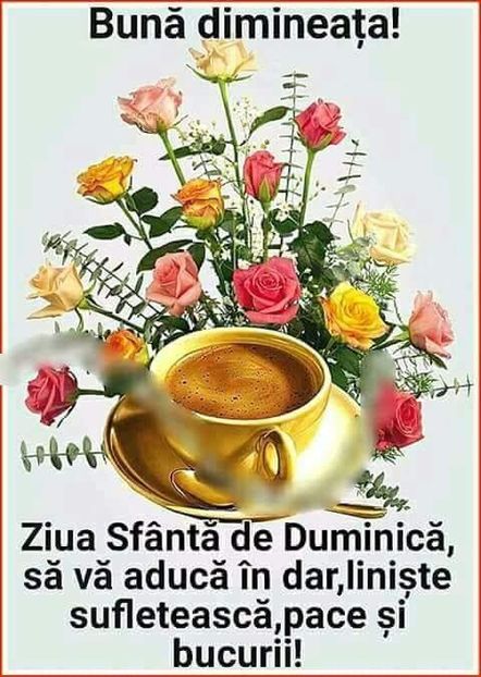  - Poze 3
