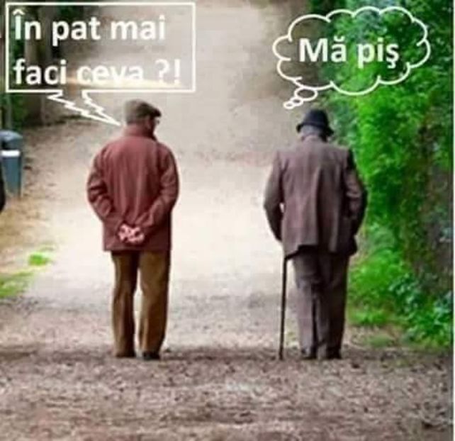  - Poze 3