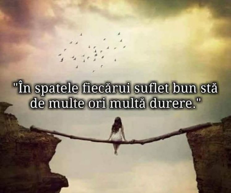  - Poze 3