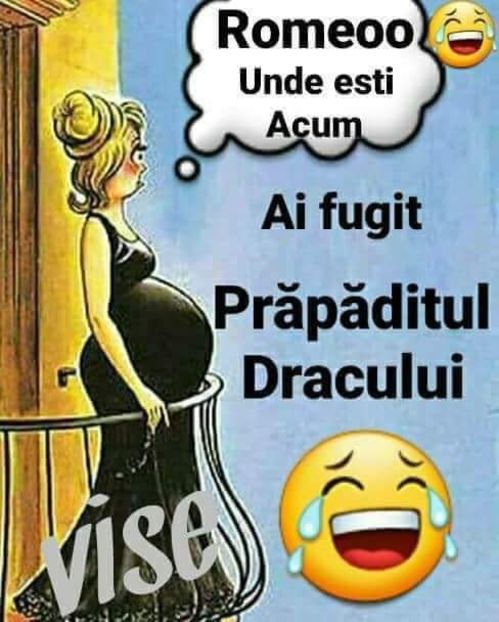 - Poze 3
