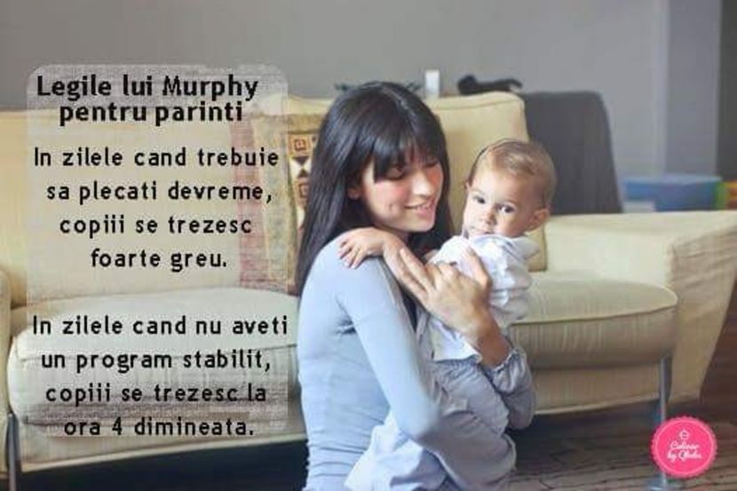  - Poze 3