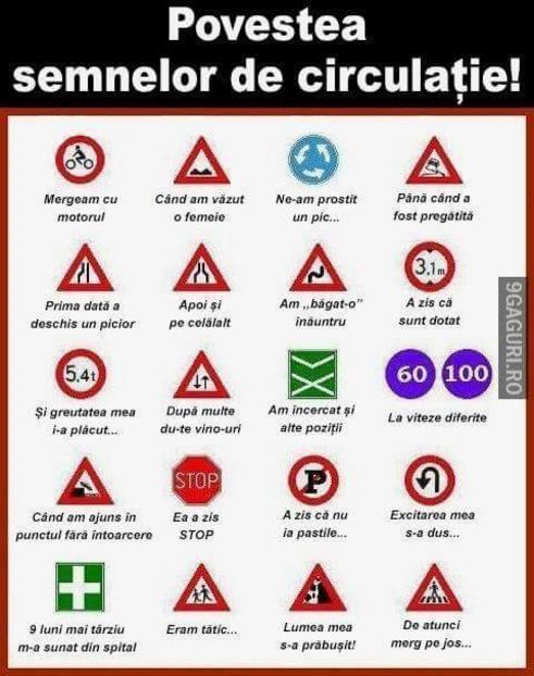  - Poze 3