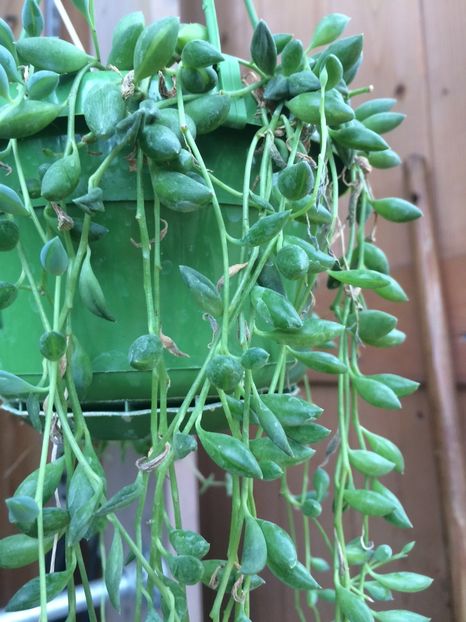 15.04.2018 - A -Magazin