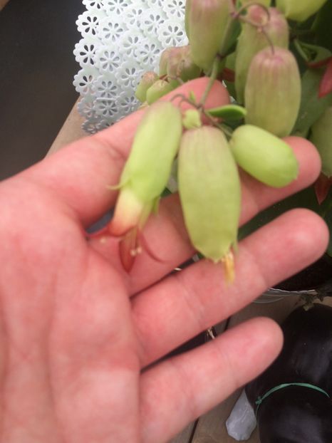 15.04.2018 - A -Magazin