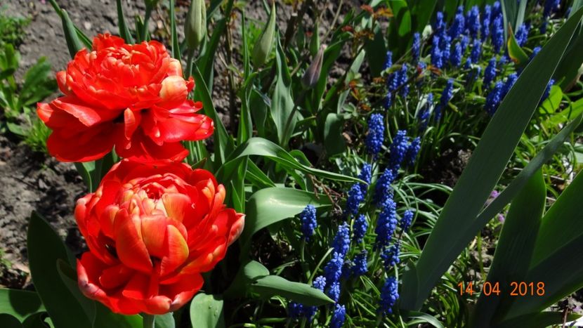  - Un inceput timid- aprilie infocat