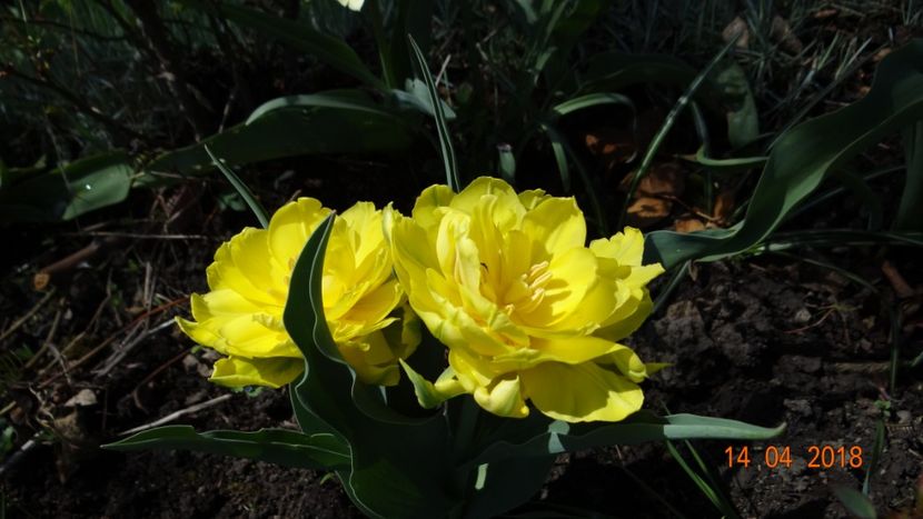  - Un inceput timid- aprilie infocat