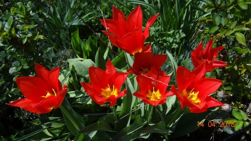  - Un inceput timid- aprilie infocat