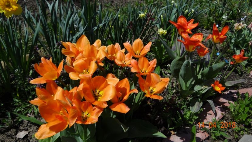  - Un inceput timid- aprilie infocat