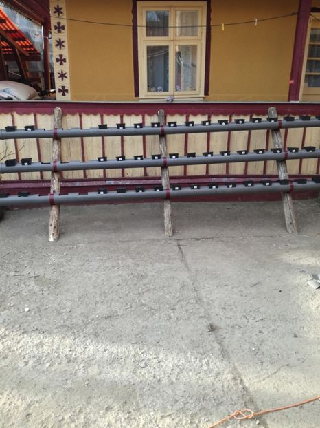  - Inventie 2018 CAPSUNI LA TUB