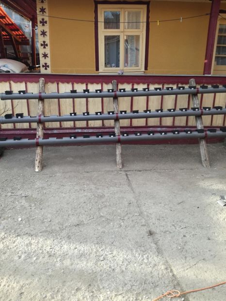  - Inventie 2018 CAPSUNI LA TUB