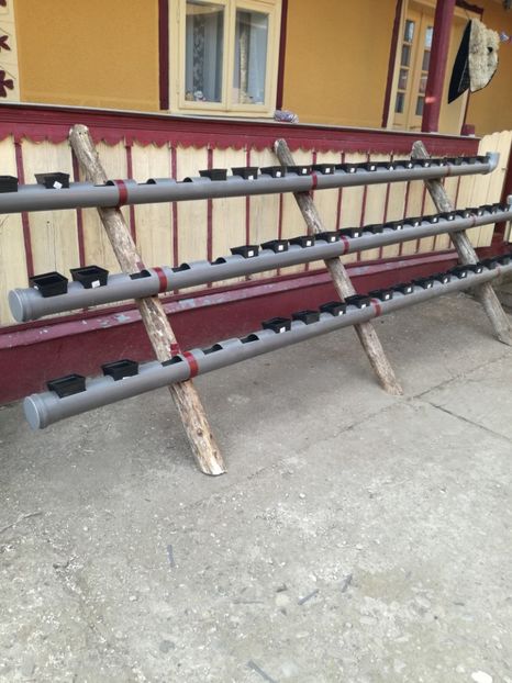  - Inventie 2018 CAPSUNI LA TUB