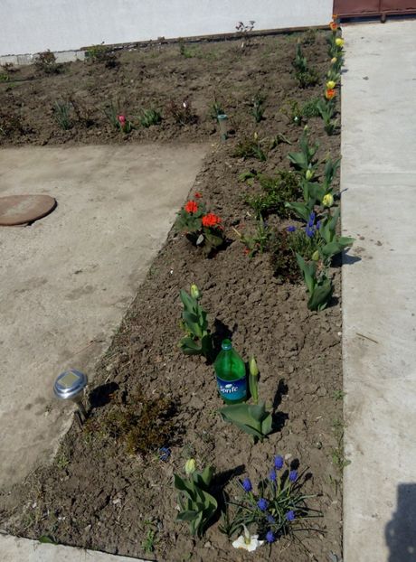 15 aprilie - gradina 2018