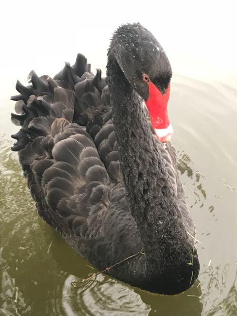 A4FC5FC5-69E1-4D72-A469-3C8E07C67D45 - In vizita