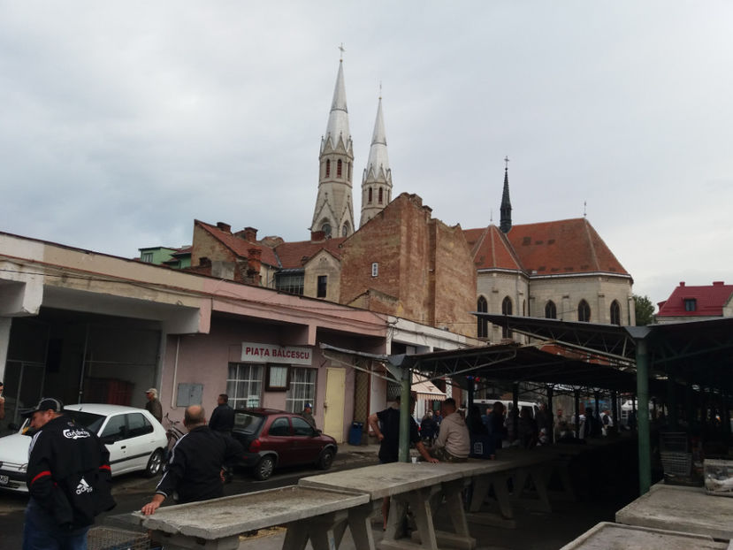  - Timisoara - 17 septembrie 2017 - Piata Balcescu - porumbei pasari de curte si animale mici