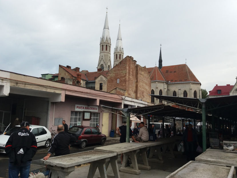 Timisoara 17 septembrie 2017 Piata Balcescu porumbei pasari de