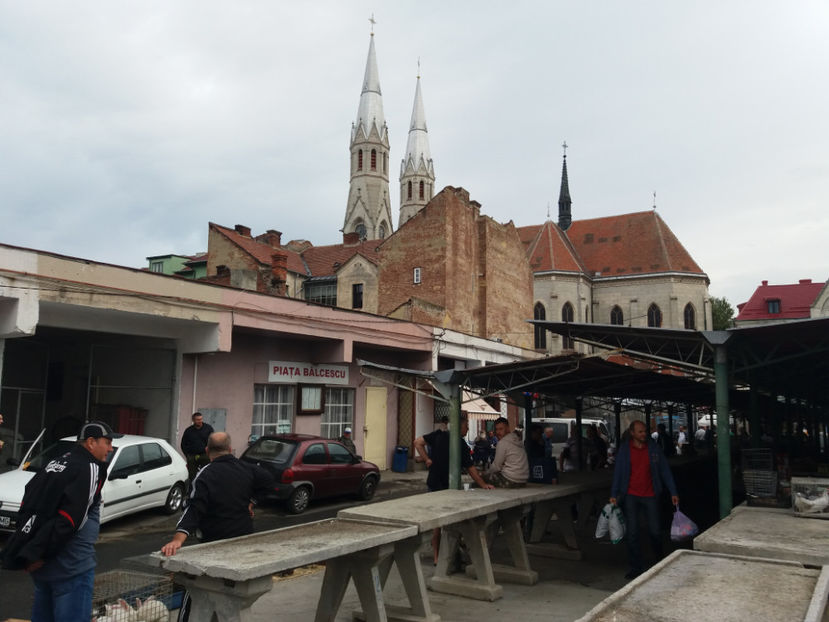 Timisoara 17 septembrie 2017 Piata Balcescu porumbei pasari de