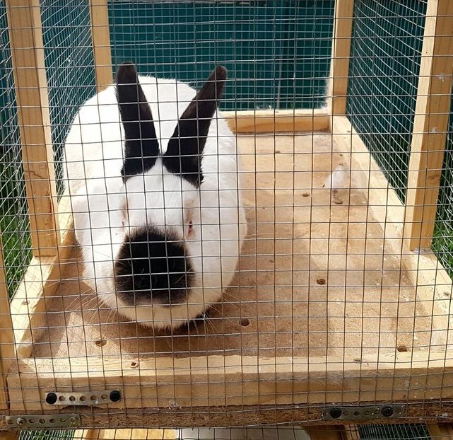 5luni - DE VANZARE -2023