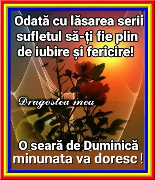  - Poze 3