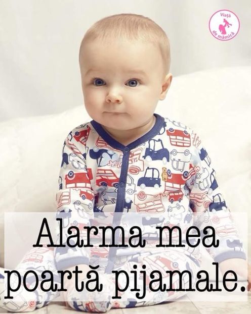  - Poze 3