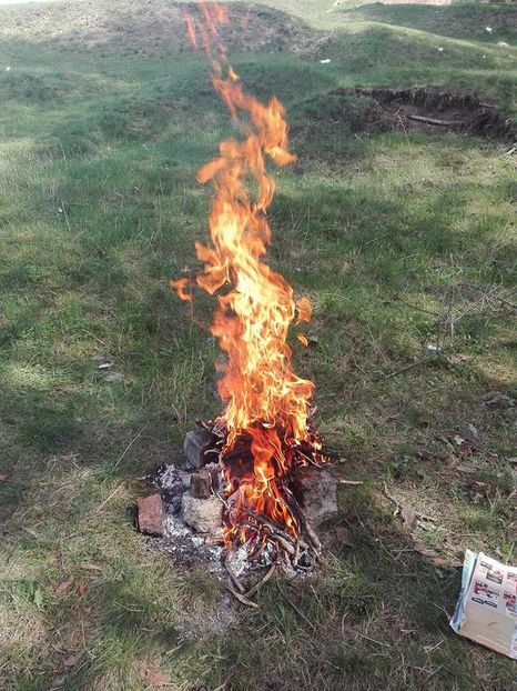  - pe camp si in padure