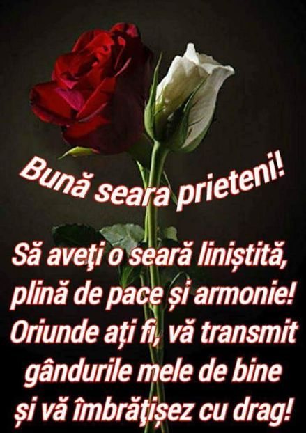  - Poze 3
