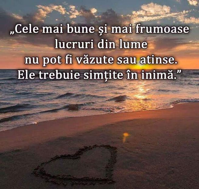  - Poze 3