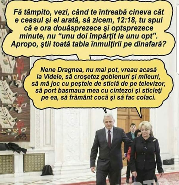  - Poze 3