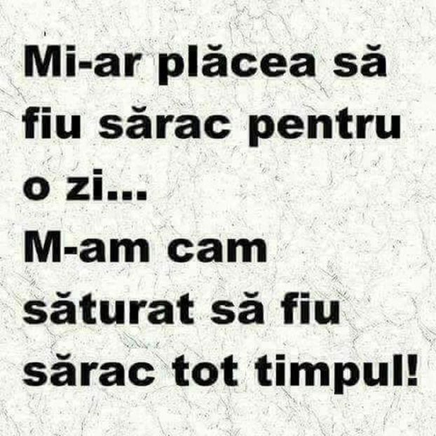  - Poze 3